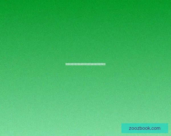 探索天美传媒直播：不止是视觉盛宴，更是数字时代的无限可能